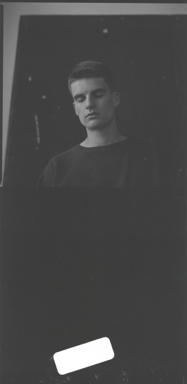 Viola Patzig