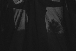 Viola Patzig