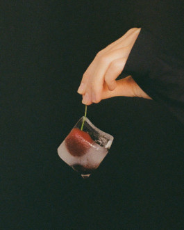 Viola Patzig